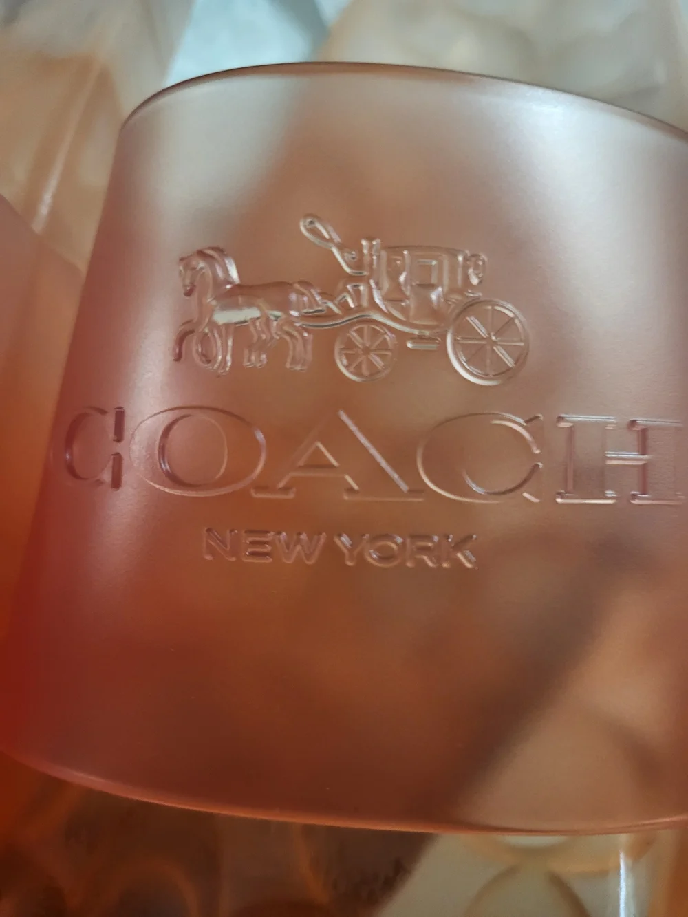 Coach transparent coral